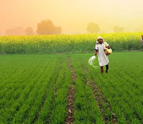 PM Kisan Land Seeding Statusl
